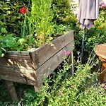 Ocean Et Jardin Vrai Lit Linge Fourni Bretignolles-sur-Mer