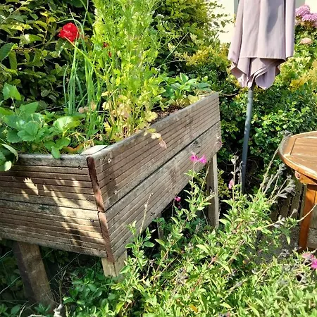 A Pied Vrai Lit Linge Fourni Jardin Brétignolles-sur-Mer