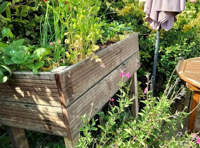 à Pied Vrai Lit Linge Fourni Jardin Brétignolles-sur-Mer